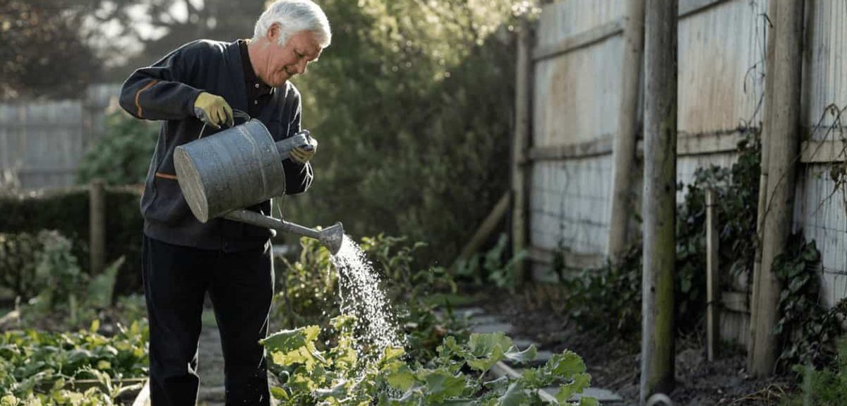 Älterer Herr bei der Gartenarbeit