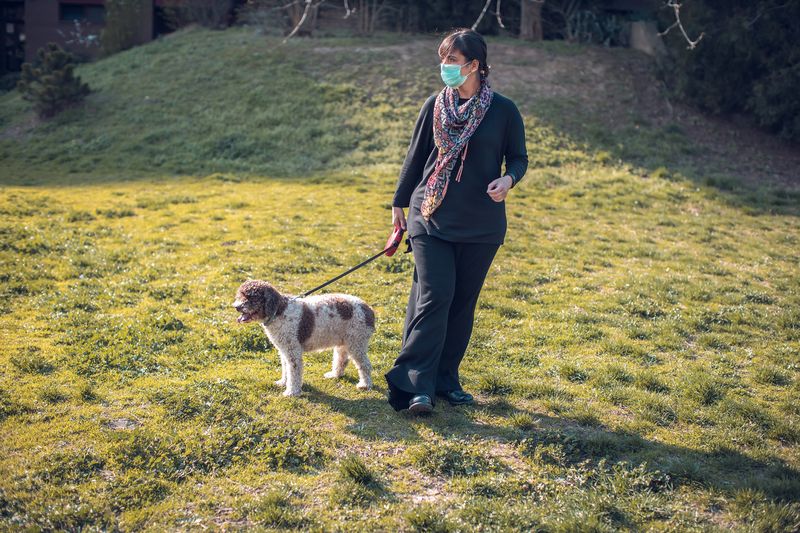 Frau führt einen Hund aus