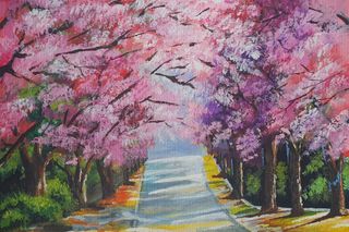 ein Weg im Frühling_Parisa