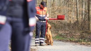 Hund der Malteser Rettungshundestaffel sitzt neben dem Hundeführer und sieht seitlich an ihm hoch