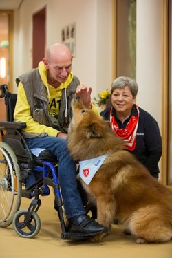 Freude auf beiden Seiten: Im Besuchsdienst mit Hund bringen freundliche Vierbeiner Abwechslung in den Alltag einsamer, alter und erkrankter Menschen. Archivfoto: Tim Tegetmeyer
