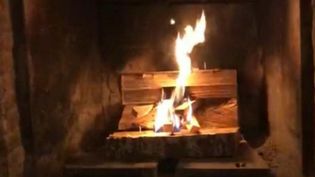 Brennende Holzscheite in einem Kamin