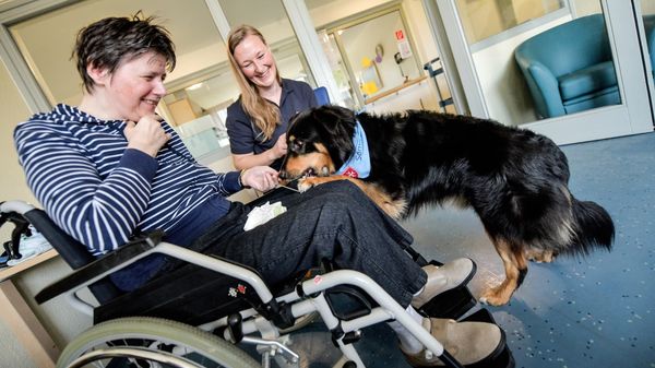 Eine Rollstuhlfahrerin mit einem Hund des Malteser Besuchsdienstes.