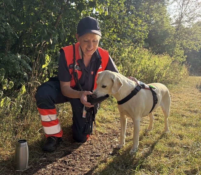 Eine Malteserin gibt einen Rettungshund zu trinken