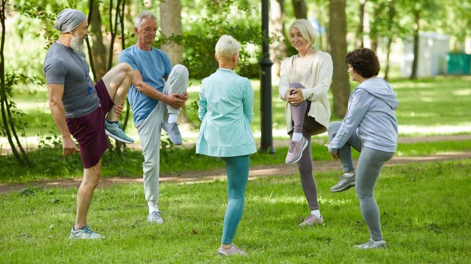 Es werden Senioren gezeigt, welche Yoga im Wald machen.