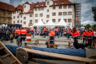 DKT 2022 - Malteser Rettungshundestaffel aus Rottenburg