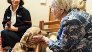 Eine Senioren steichelt einen Hund, im Hintergrund die Hundehalterin