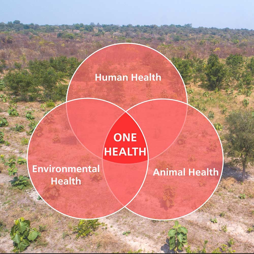 One Health circle