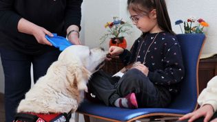 Ein Mädchen sitzt im Schneidersitz auf einem Stuhl und streichelt einen Hund vom Hundebesuchsdienst