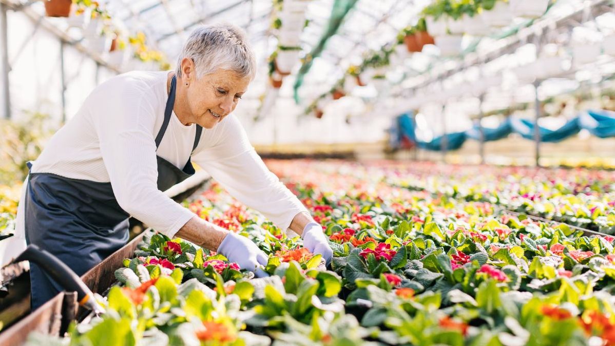 Seniorin im Gewächshaus