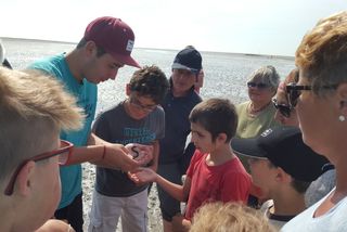 2015-08-26 Malteser Ferienfreizeit St Peter Ording 3