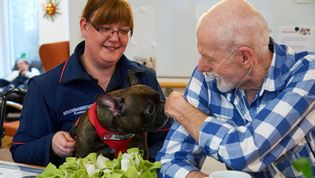 Ein Hund zu Besuch in einer Senioreneinrichtung