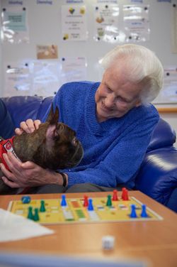 Wer Lust hat, sich gemeinsam mit dem eigenen Hund für andere zu engagieren, kann sich am 23. Februar über den neuen Malteser Hundebesuchsdienst informieren. (Quelle: Malteser)