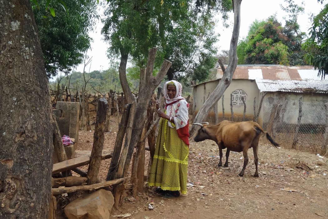 Unsere Hilfe in Guinea