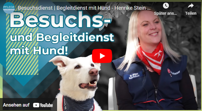 Screenshot eines YouTube Videos, welches den Besuchsdienst mit Hund thematisiert.