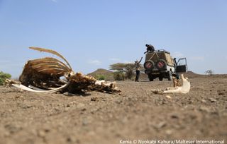 Andauernde Dürre in Kenia