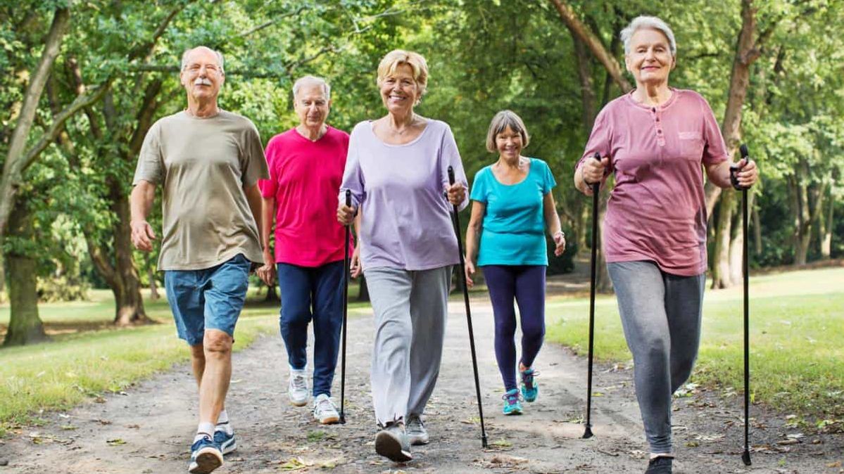 Fünf Senioren betreiben den Sport Walking im Wald aus.