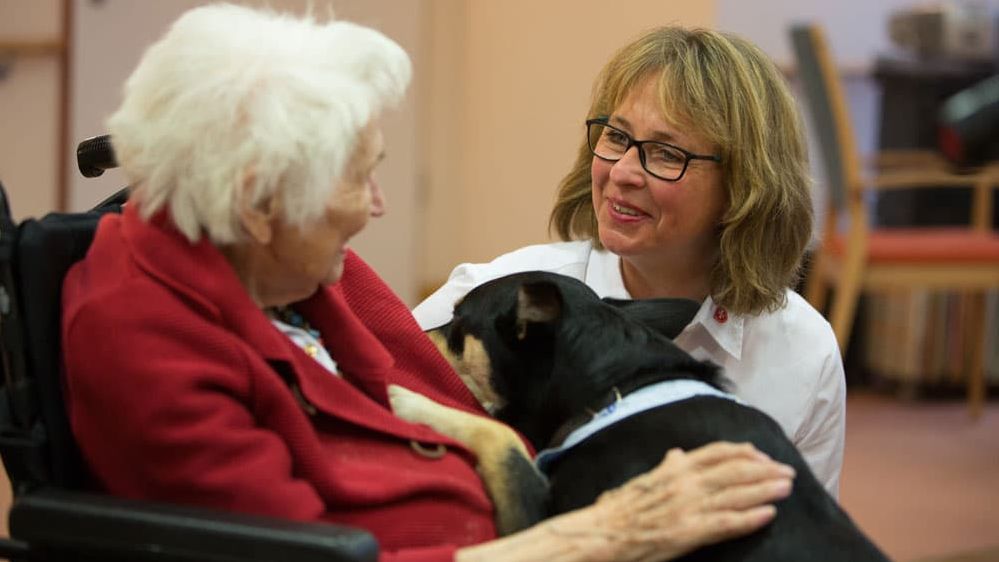 Malteser Besuchsdienst mit Hund