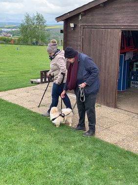 Foto der Hundeausbildung mit Gehhilfen