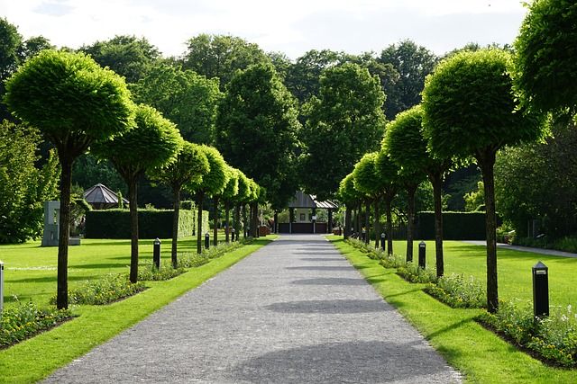 Botanischer Garten Augsburg, Allee mit Spazierweg