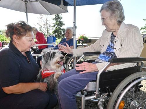 Eine Malteser Helferin sitzt mit ihrem Hund vor einer Seniorin im Rollstuhl. 