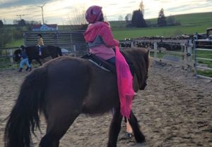 Mädchen auf Islandpferd mit einem rosa Tuch in der Hand
