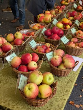 Apfelsorten in kleinen Holzschalen