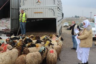 Improving food security and economic self-sufficiency