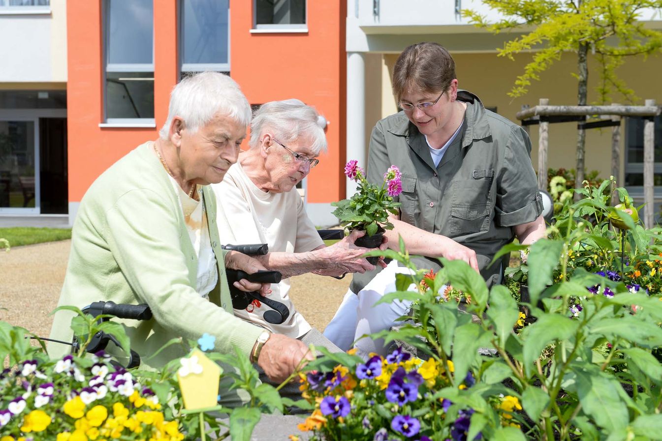 der Soziale Dienst und die Bewohner bepflanzen die Beete mit Blumen