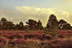 „Die Seele geht zu Fuß“ – Malteser laden zu Trauerwanderung ein 