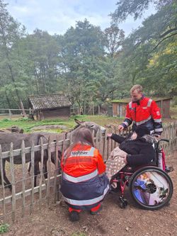 Zwei Malteser Helfende stehen mit einer Frau im Rollstuhl vor einem Esel in einem Zoo