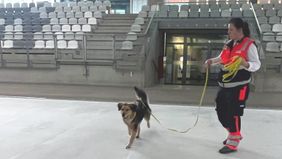 Auf der eisfreien Fläche der Arena steht eine Malteser Helferin und hält an der Leine einen Rettungshund.