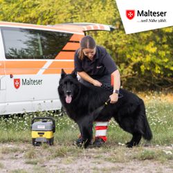 Auf dem Foto ist eine Helferin mit ihrem Hund zu sehen. Daneben steht die PET Box. Im Hintergrund sieht man ein Fahrzeug der Malteser.