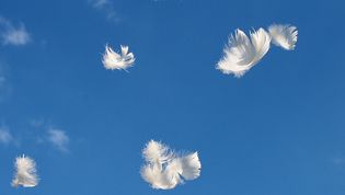 Malteser Plauen Trauertreff 30plus