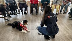 Eine Frau mit Malteser-Kleidung und ein Hund vor einem Kreis von älteren Menschen