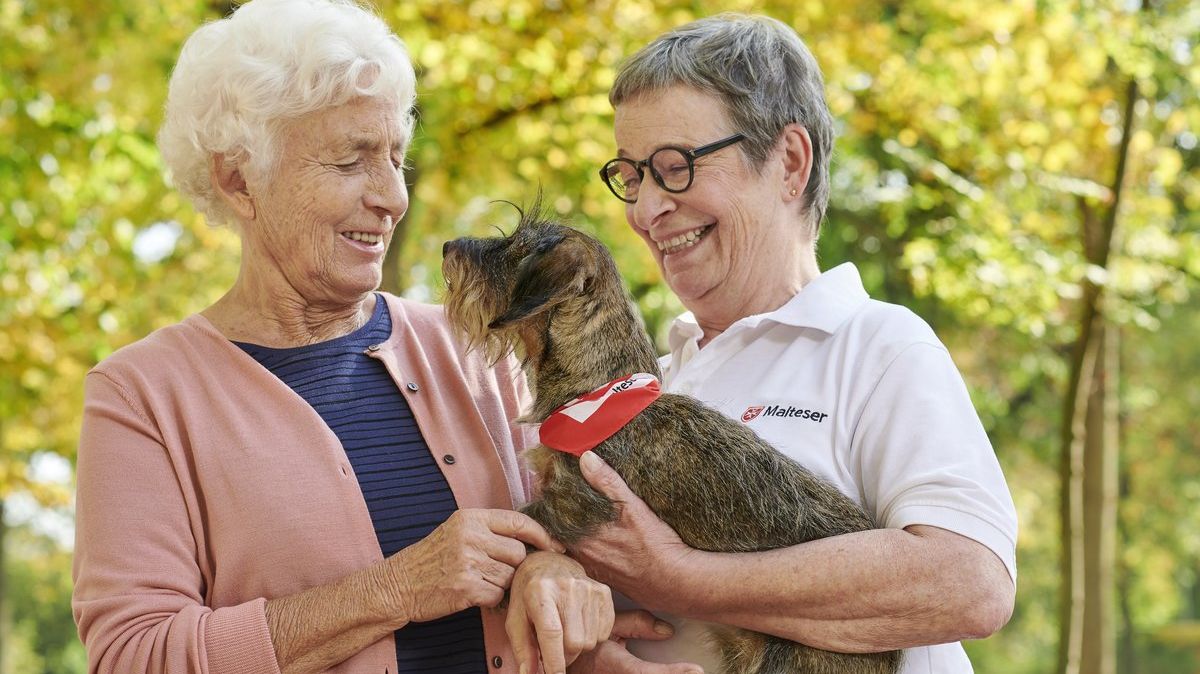 Ehrenamtlicher Besuchsdienst mit Hund