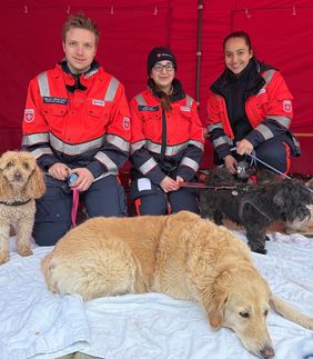 In guten Händen: Ehrenamtliche der Malteser betreuen Hunde, während ihre Besitzerinnen und Besitzer die Veranstaltung genießen. Archivfoto: Sabine Wigbers