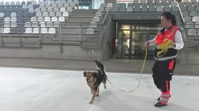 Auf der eisfreien Fläche der Arena steht eine Malteser Helferin und hält an der Leine einen Rettungshund.
