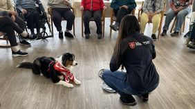 Umringt von Senioren auf Stühlen und Rollstühlen liegt ein Hund neben einer knienden Malteser Helferin.