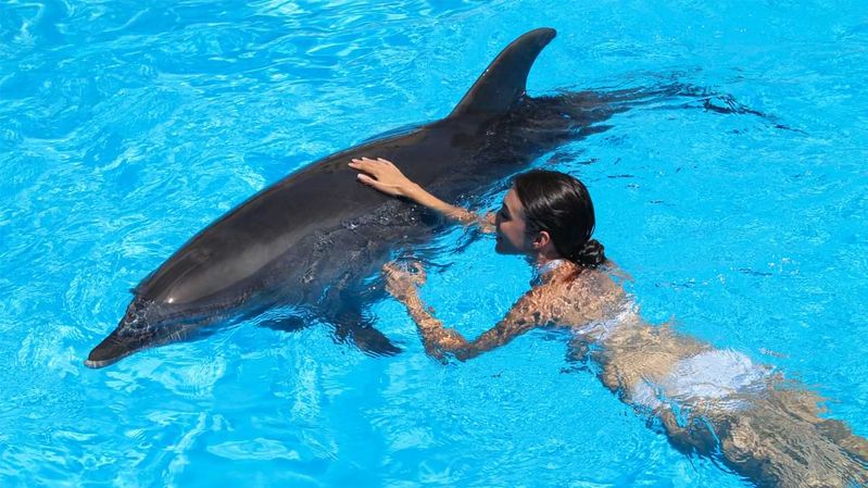 Eine junge Frau schwimmt mit einem Delfin. 
