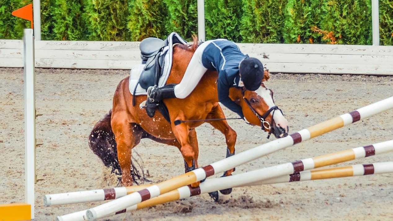 Ein Pferd stoppt beim Springreiten vor einem Hindernis und wirft die reitende Person ab.