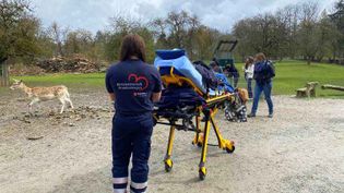 ehrenamtliche Helferin begleitet kranke Frau in den Wildpark