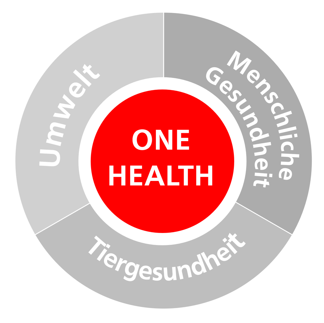 One Health