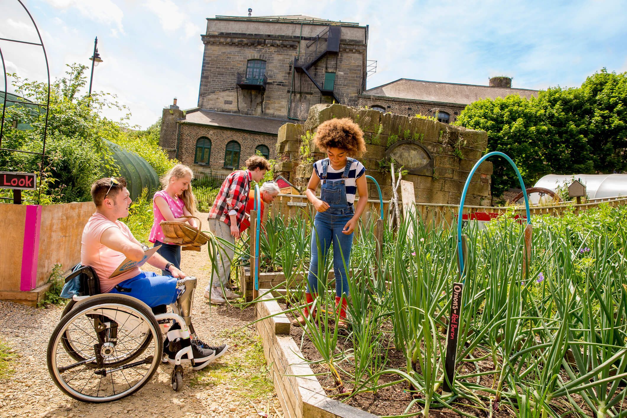 Junge Menschen gärtnern in gemeinsamen Garten