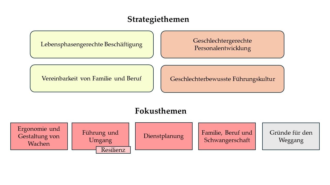 Strategie- und Fokusthemen des Projekts Frauen im Rettungsdienst