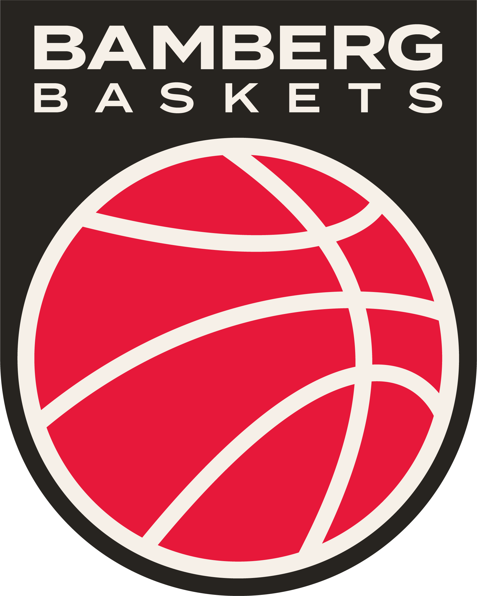 bamberg-baskets-sportmedizinische-betreuung-waldkrankenhaus-erlangen