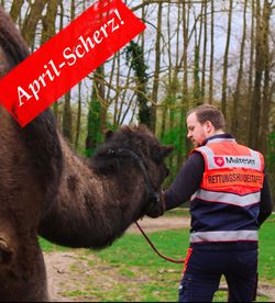 Trainingseinheit der Kamelstaffel