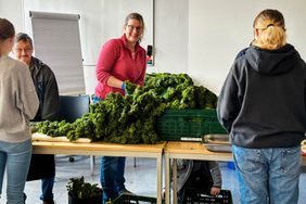 Ein großer Berg Grünkohl gaĺt es zu bezwingen. Es wurde alles frisch gekocht!