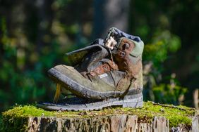 Ein alter Wanderschuh steht auf einem mit Moos bewachsenen Baumstumpf.