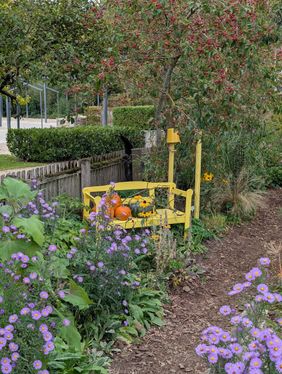 Eine gelbe Bank in einem Bauernkarten, herbsrtlich geschmückt